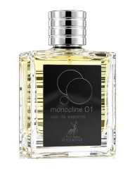 Maison Alhambra Monocline 01